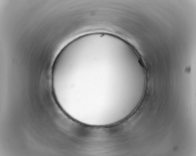 X0000093151516200710241352