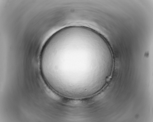 X0000093151517200710241352