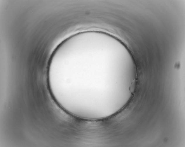 X0000093151518200710241352