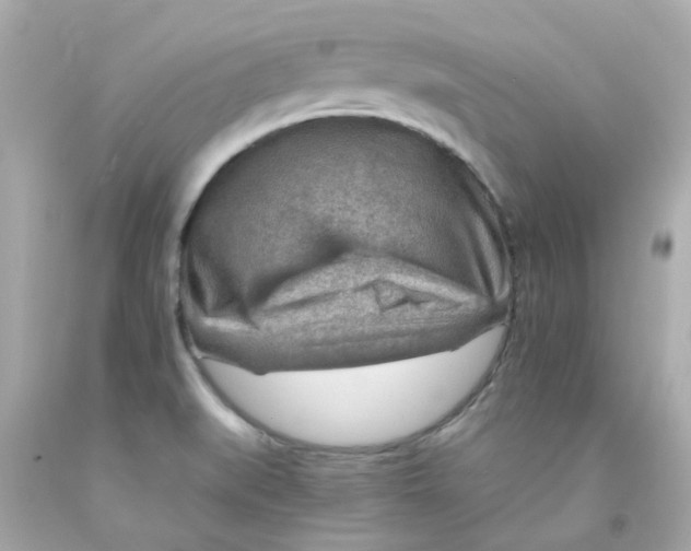 X0000093151519200710241352