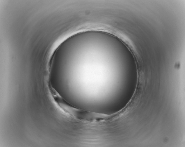 X0000093151520200710241352