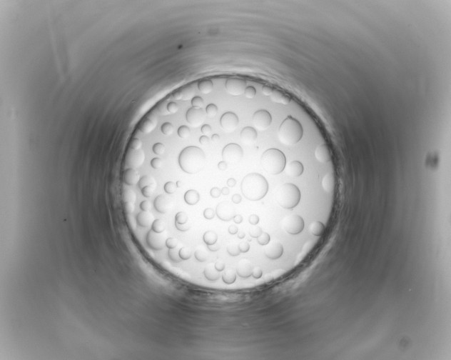 X0000093151521200710241352