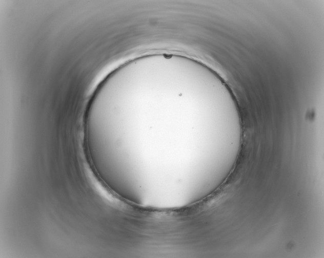 X0000093151523200710241352