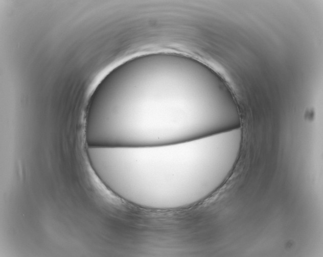 X0000093151524200710241352