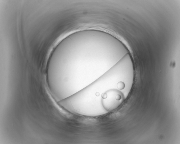 X0000093151525200710241352