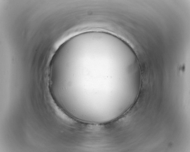 X0000093151526200710241352