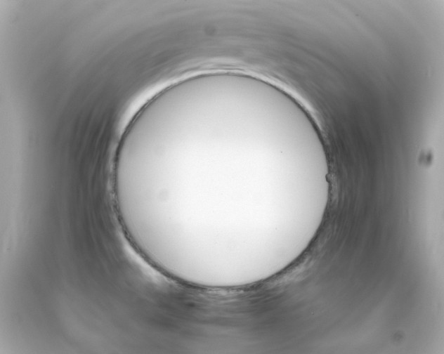 X0000093151527200710241352