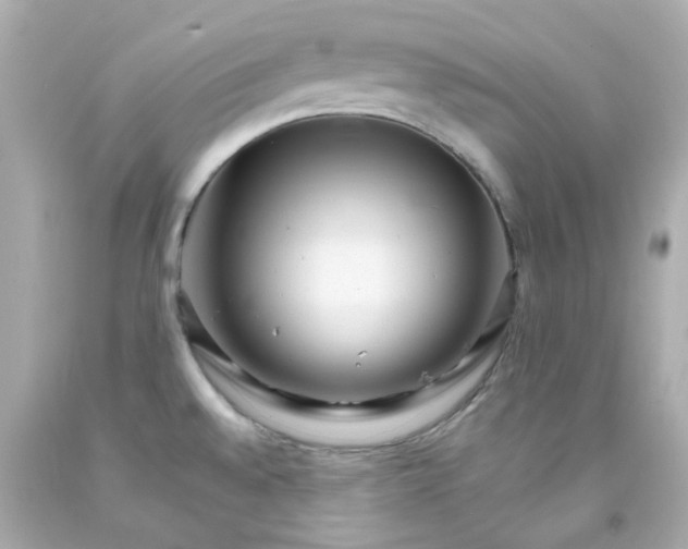 X0000093151528200710241352