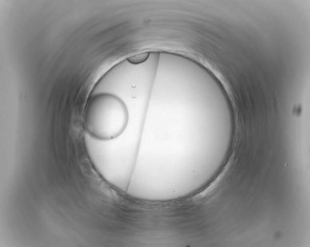 X0000093151529200710241352