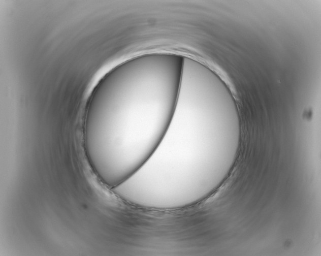 X0000093151530200710241352