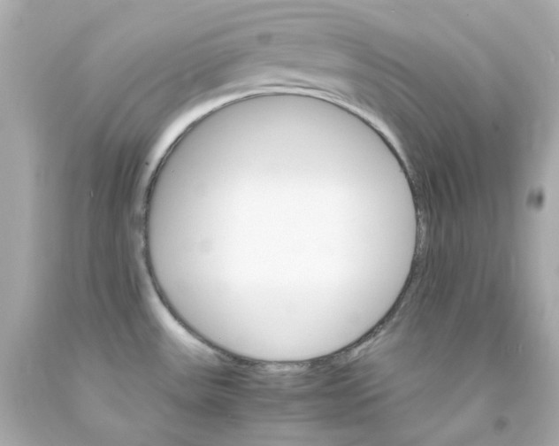 X0000093151531200710241352