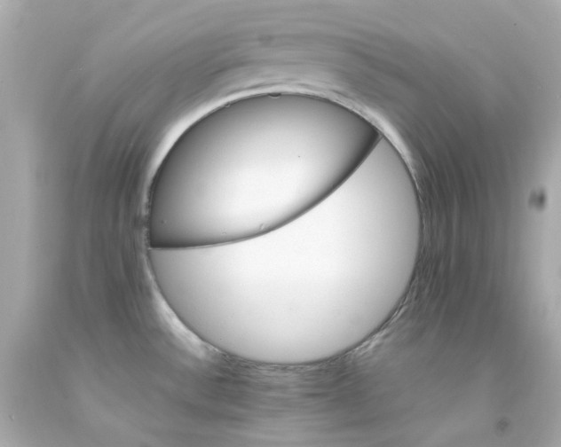 X0000093151532200710241352