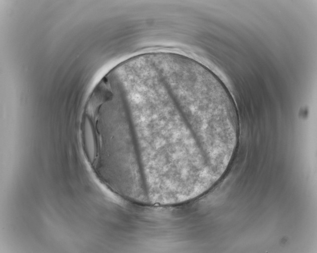 X0000093151533200710241352