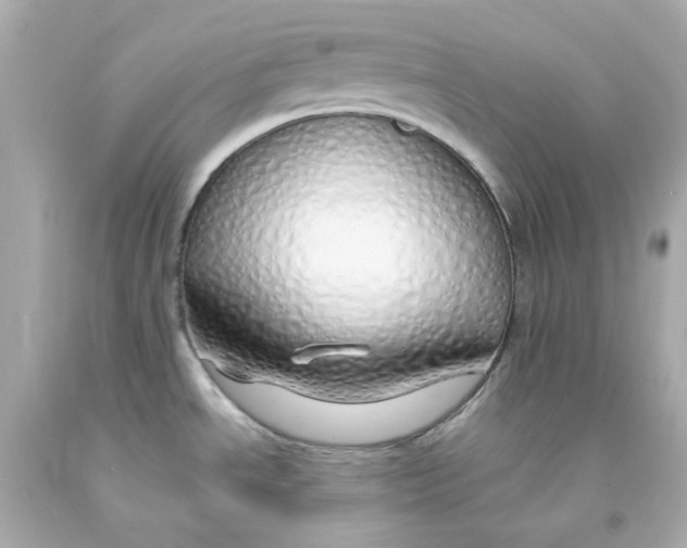 X0000093151534200710241352