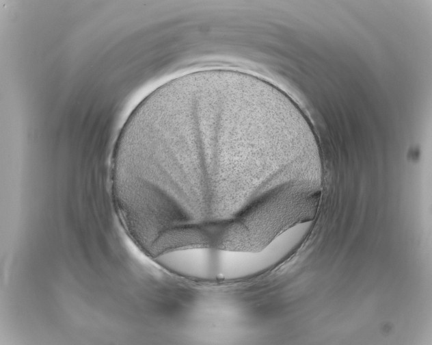 X0000093151535200710241352