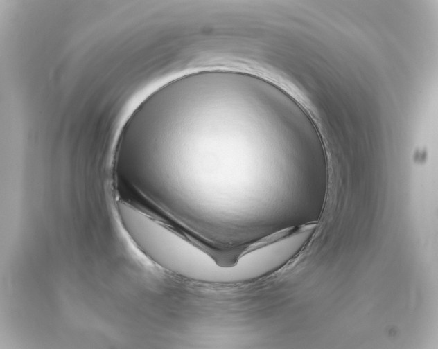 X0000093151536200710241352