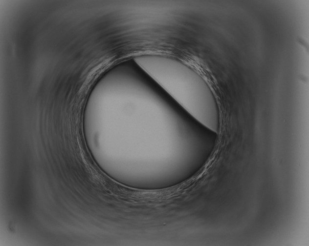 X0000093160001200709261045