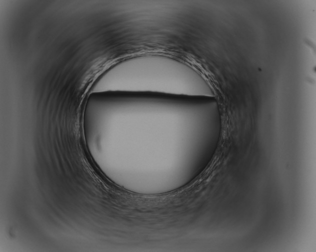 X0000093160002200709261045