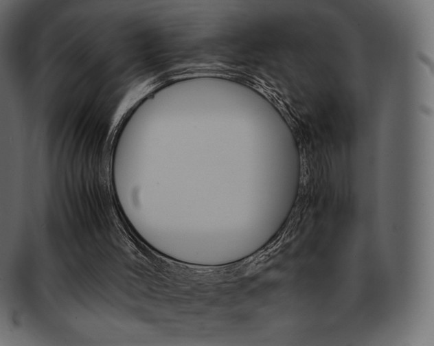 X0000093160004200709261045