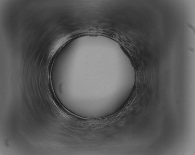 X0000093160005200709261045
