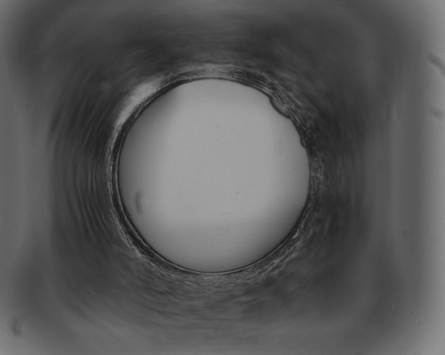 X0000093160006200709261045