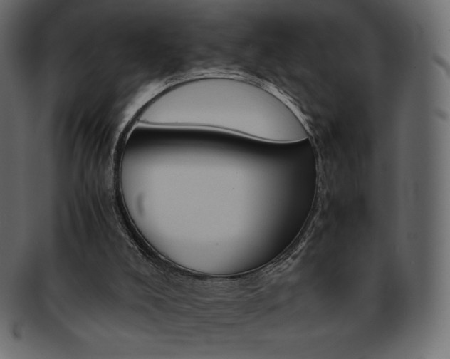 X0000093160008200709261045