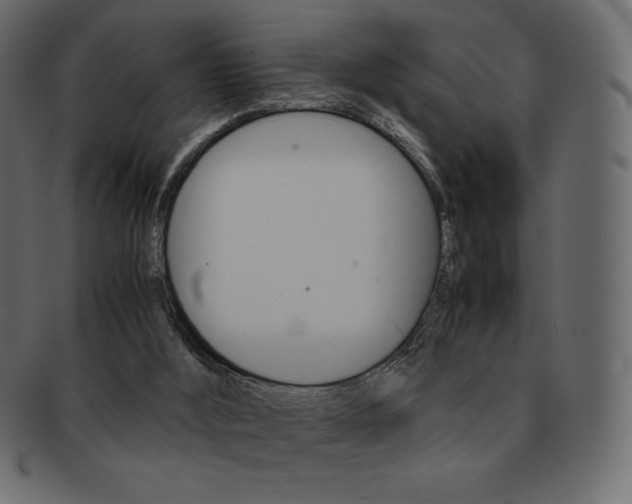 X0000093160012200709261045