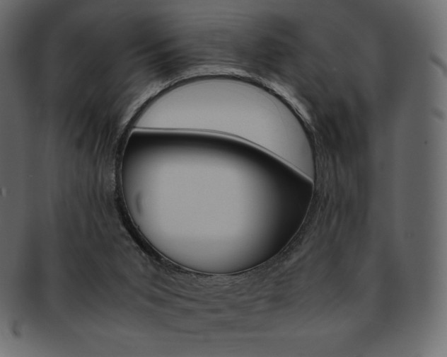 X0000093160015200709261045
