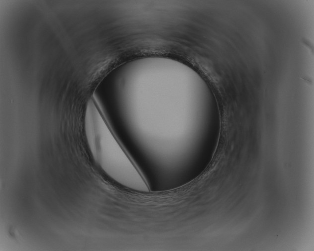 X0000093160017200709261045