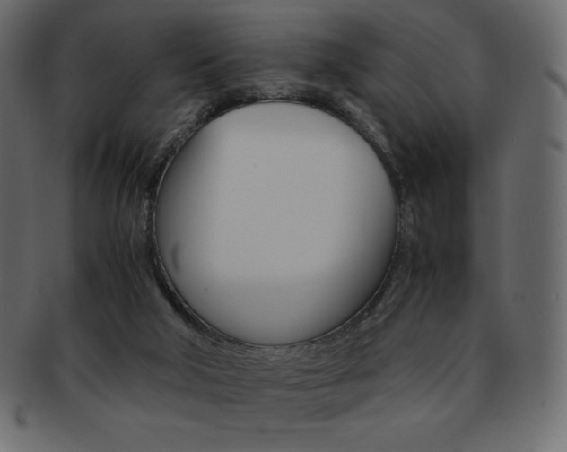 X0000093160018200709261045