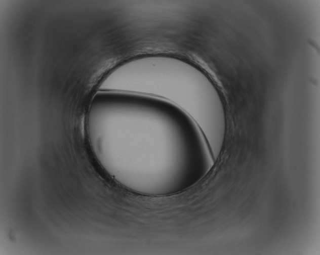 X0000093160019200709261045