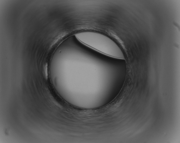 X0000093160020200709261045