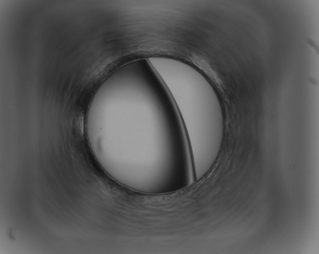 X0000093160021200709261045