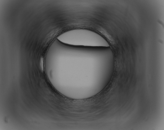 X0000093160022200709261045