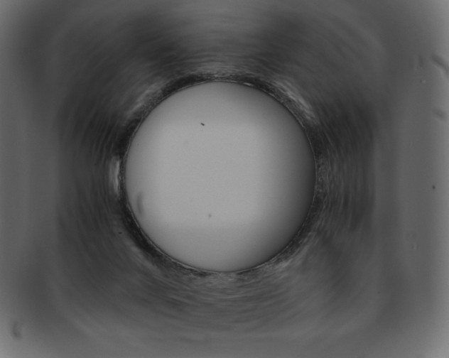 X0000093160024200709261045