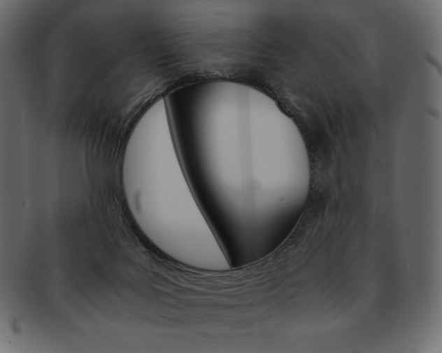 X0000093160027200709261045
