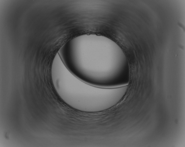 X0000093160029200709261045