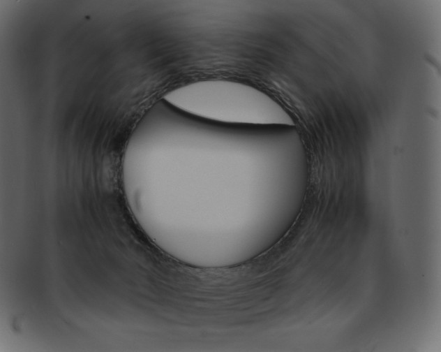 X0000093160030200709261045