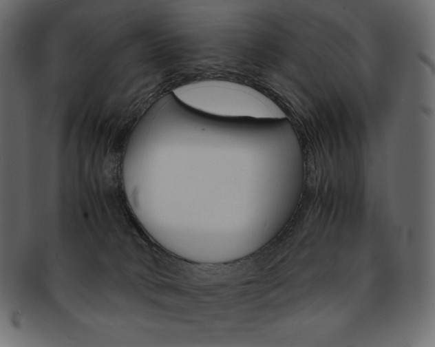 X0000093160034200709261045