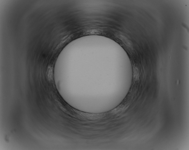 X0000093160036200709261045