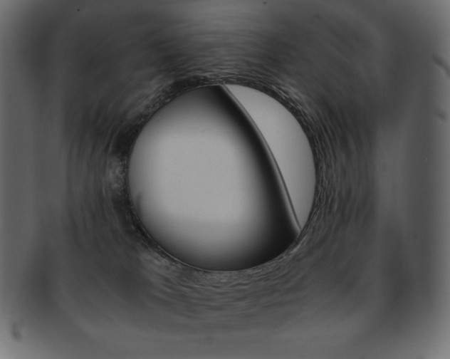 X0000093160037200709261045