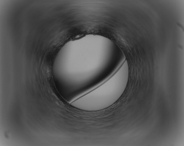 X0000093160039200709261045