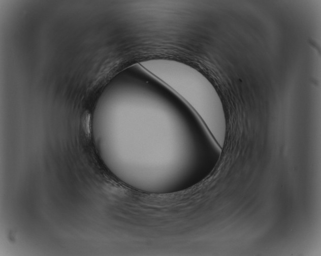X0000093160041200709261045