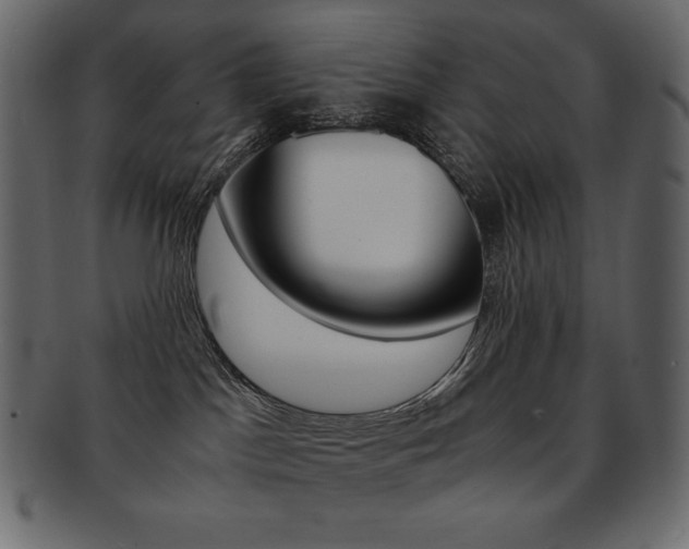 X0000093160045200709261045