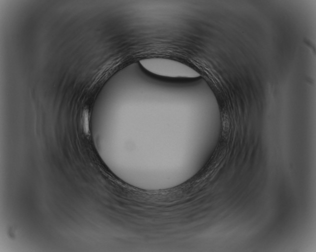 X0000093160046200709261045