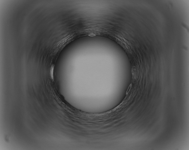 X0000093160047200709261045