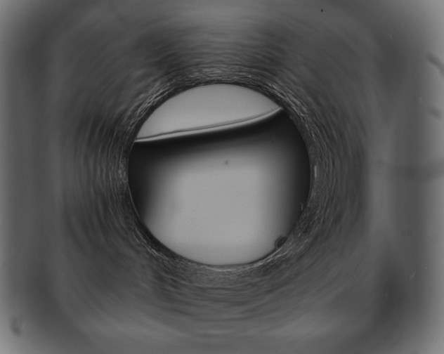 X0000093160048200709261045