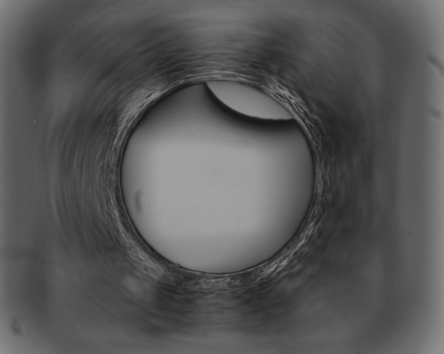X0000093160049200709261044