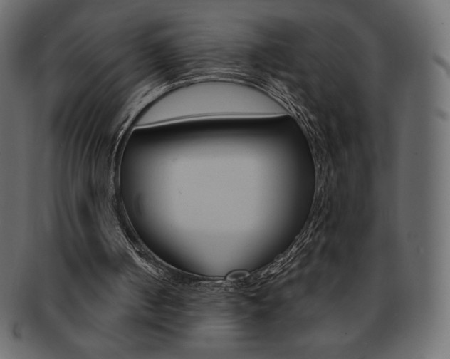 X0000093160050200709261044