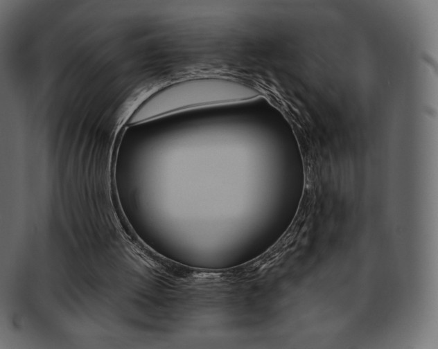 X0000093160052200709261044